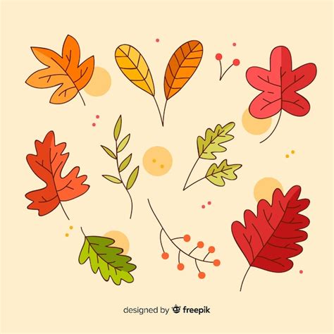 Hand drawn autumn forest leaves collection | Free Vector