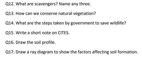 answer the questions - Brainly.in