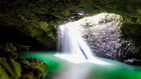 Escape To Enchantment: Springbrook State Park, Your Gateway To Nature's ...