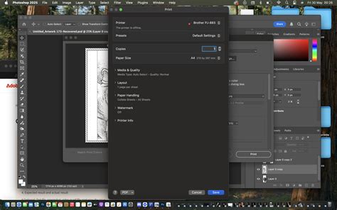 Image result for Advanced Printer Settings