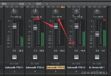 CakewalkSoftware 的图像结果