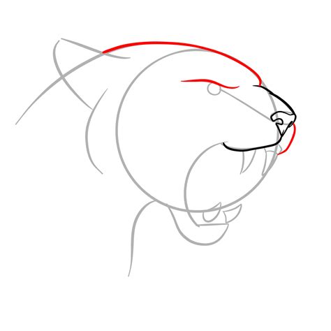 How to Draw a Roaring Cougar: Mountain Lion Head Profile