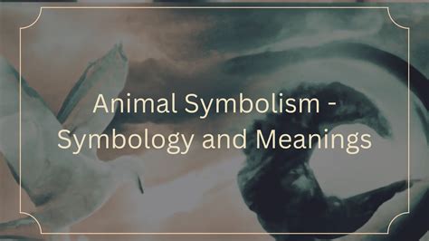 Animal Symbolism - Symbology, Meanings & List