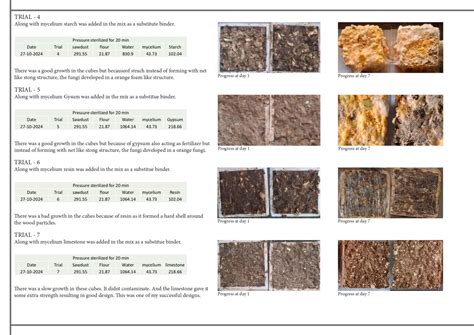 Mycelium concrete | CEPT - Portfolio