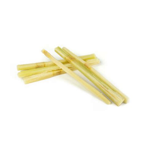 Tio Jorge Sugar Cane Sticks Wholesale Supplier - MIC Food
