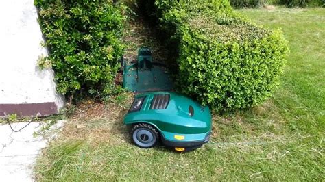 Tagliaerba: mini guida all'acquisto per un prato sempre  