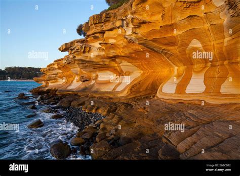 Image result for Sample Website Create in HTML