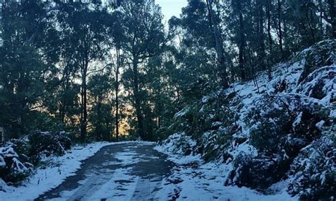 Cobungra Tourism (2023): Best of Cobungra, Australia - Tripadvisor