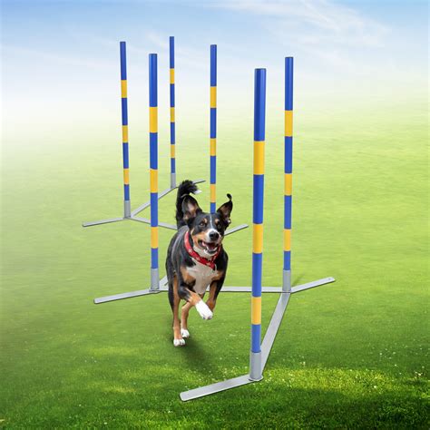 MiMu Dog Agility Training Equipment Dog Weaving Poles Competition Grade ...