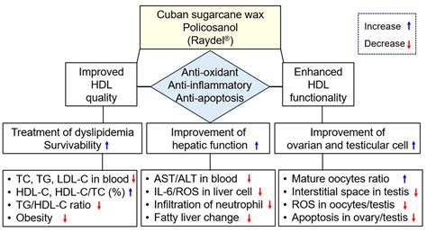 Cuban Policosanol (Raydel®) Potently Protects the Liver, Ovary, and ...