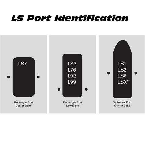 LS Short Intake 的图像结果