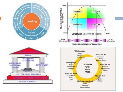 Leader Behavior Model 的图像结果