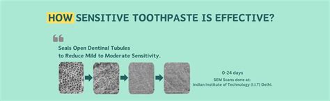 Buy Purexa Herbal Sensitive Toothpaste Pack of 2 (100gm Each) | Dual ...