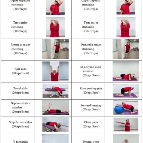 Image result for Scapular Dysfunction Exercises
