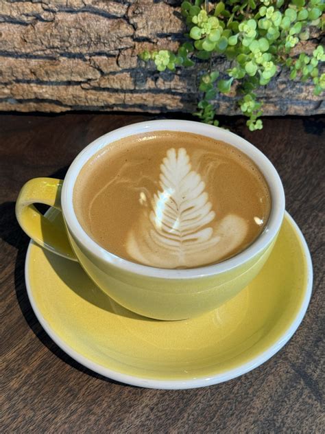 Gallery - Moxie33 Coffee Co.