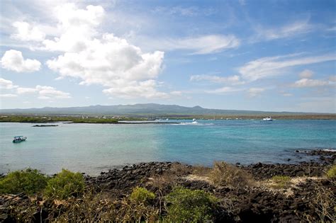 Santa Cruz, Galapagos - Ecuador 2019 Travel Guide | Anywhere