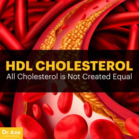 Image result for HDL Components Code