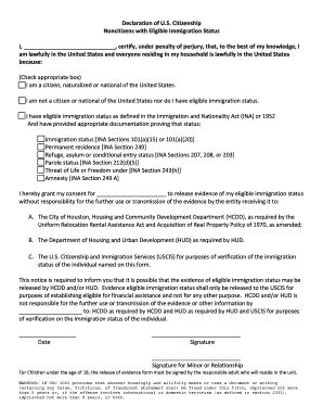 TX Declaration Of U.S. Citizenship Noncitizens With Eligible ...