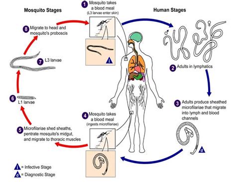 Press Note Details: Press Information Bureau
