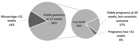 Evaluating Markers of Immune Tolerance and Angiogenesis in Maternal ...