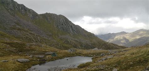 Image result for Common Cause Foundation