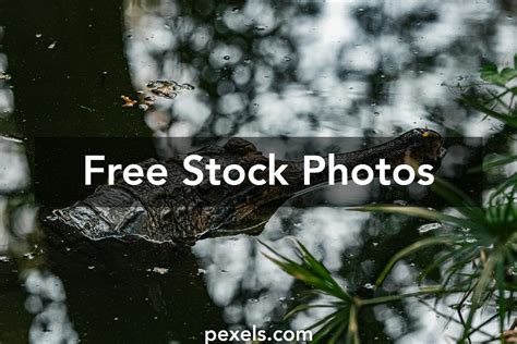 Pictures for Environment 的图像结果