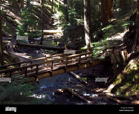 Mt hood wilderness ramona falls hi-res stock photography and images - Alamy