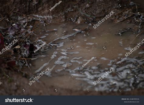 Puddle 的图像结果