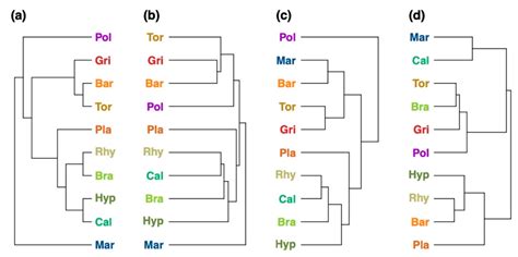 Untargeted In Silico Compound Classification—A Novel Metabolomics ...