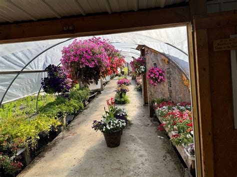 Amish Greenhouse end of season liquidation , Butler Farmshow Grounds ...