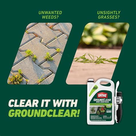 Ortho GroundClear Weed and Grass Killer with Comfort Wand, Kills ...
