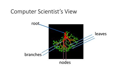 Image result for Tree and Graph Traversals in Algorithm