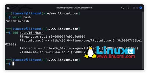 Chroot Tutorial 的图像结果