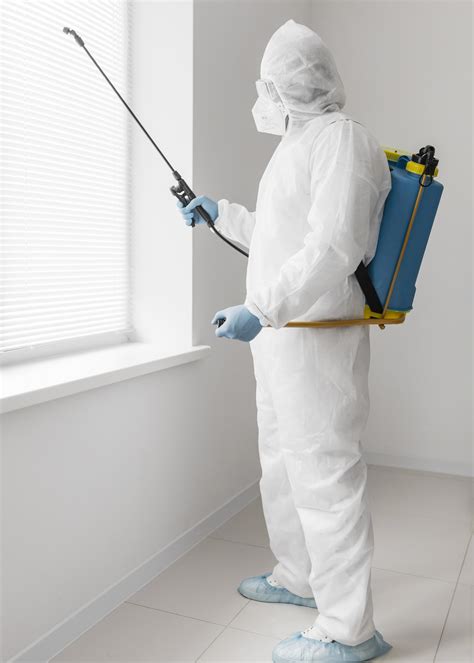 Melbocity Pest Control | All pest control