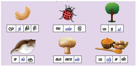 மெய்யெழுத்துகள் : ந், ம், ன் - பருவம் 1 இயல் 4 | 1 ஆம் வகுப்பு தமிழ் ...