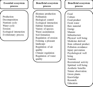 Fig. 6. Framework and typology proposed by Balmford et al (2008 ...