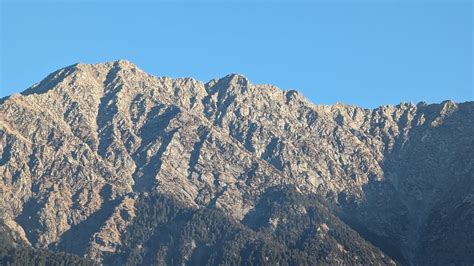 UDECHEE HUTS (McLeod Ganj, India - Himachal Pradesh) - Hotel Reviews ...