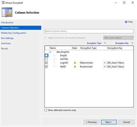SQL Encrypt Strict 的图像结果