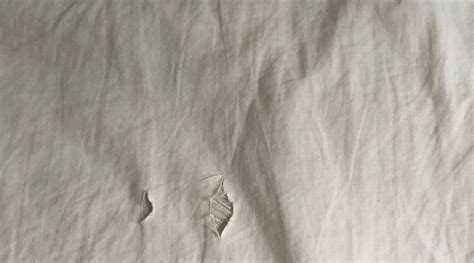 PLACE2STAY NIAH CAVE (Miri, Sarawak) - Inn Reviews & Photos - Tripadvisor