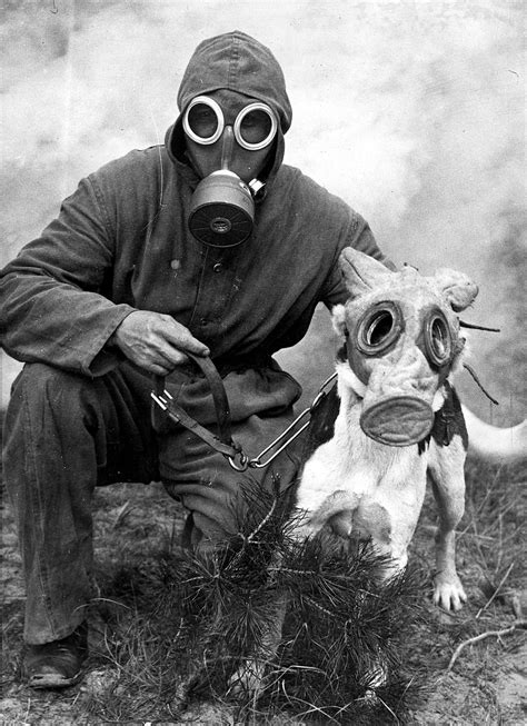 Ww1 German Gas Mask