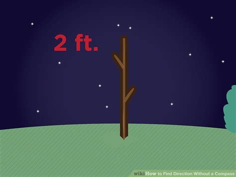 Image result for How to Tell Direction without Compass