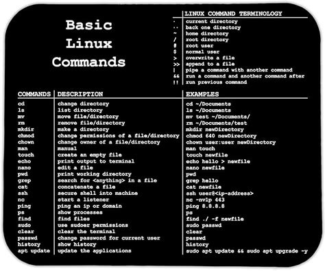 Image result for Linux Capital M Commands