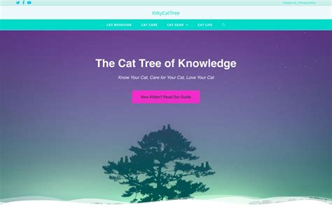 Image result for Web Browser Button for Design