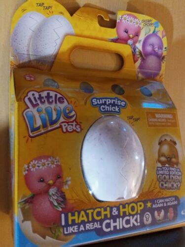 NIB Little Live Pets Surprise Chick Hatch Hop Chick India | Ubuy
