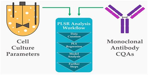 Identification of Cell Culture Factors Influencing Afucosylation Levels ...