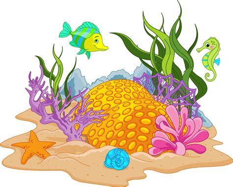Free coral, Download Free coral png images, Free ClipArts on Clipart ...