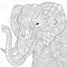 ausmalbilder erwachsene elefant or indian elephant isolated on white background ausmalbilder erwachsene elefant or indian elephant isolated on white background