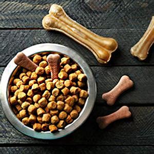 Pet shop in faridabad | buy pet products online for Cat and Dog – OH MY PET