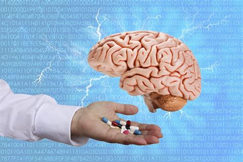 Do Fish Have Blood? - Smore Science