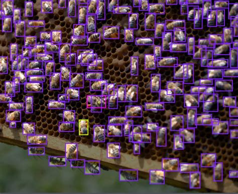 Top 6 Agriculture Datasets for Computer Vision